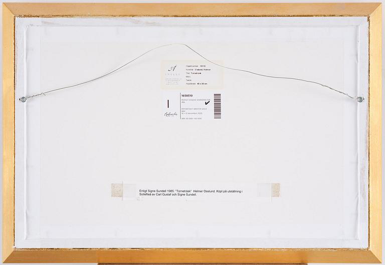 Helmer Osslund, Torneträsk.