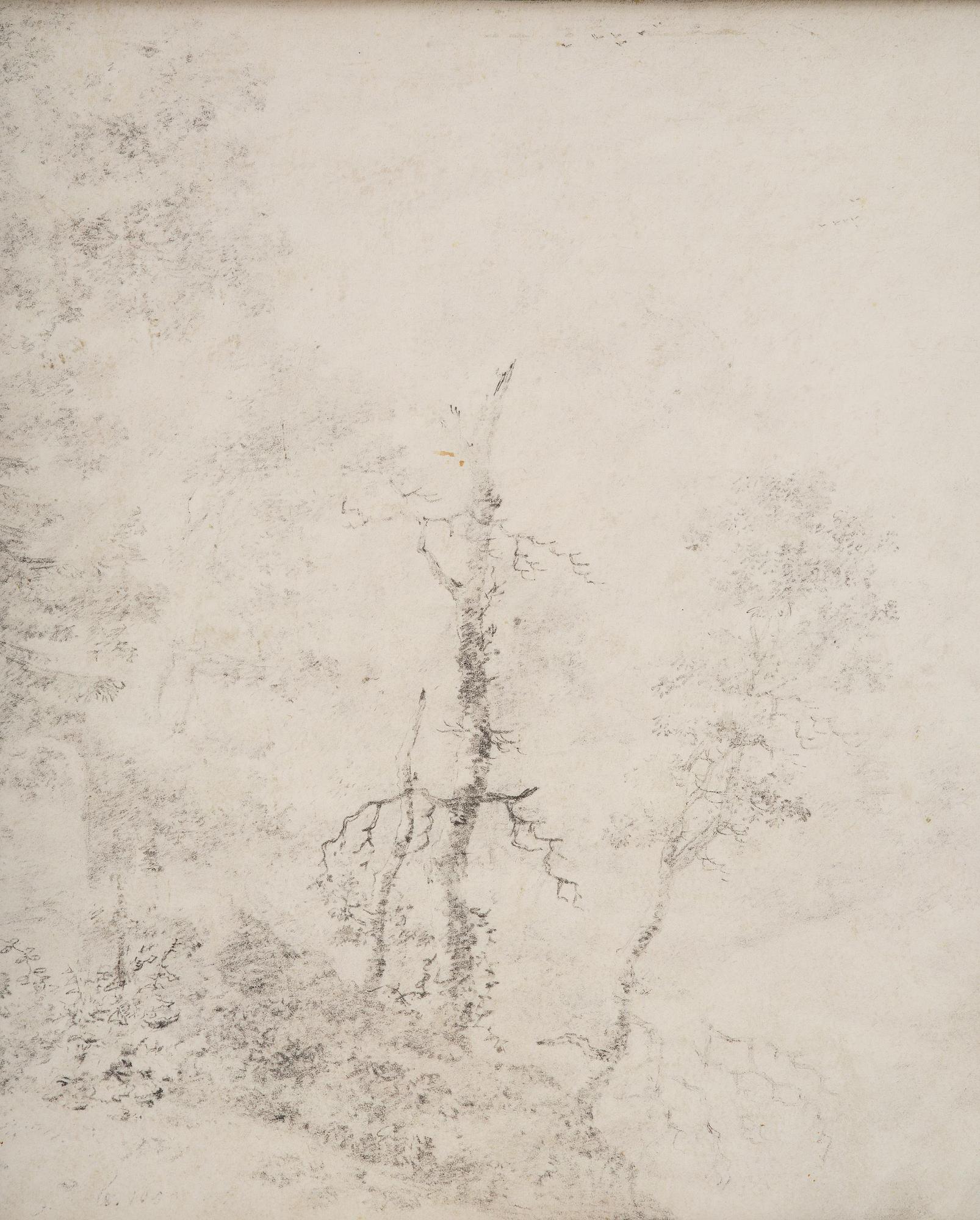 Jan Wils, Landscape with forest.