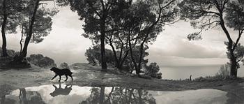 Pentti Sammallahti, "Cilento, Italia, 1999".