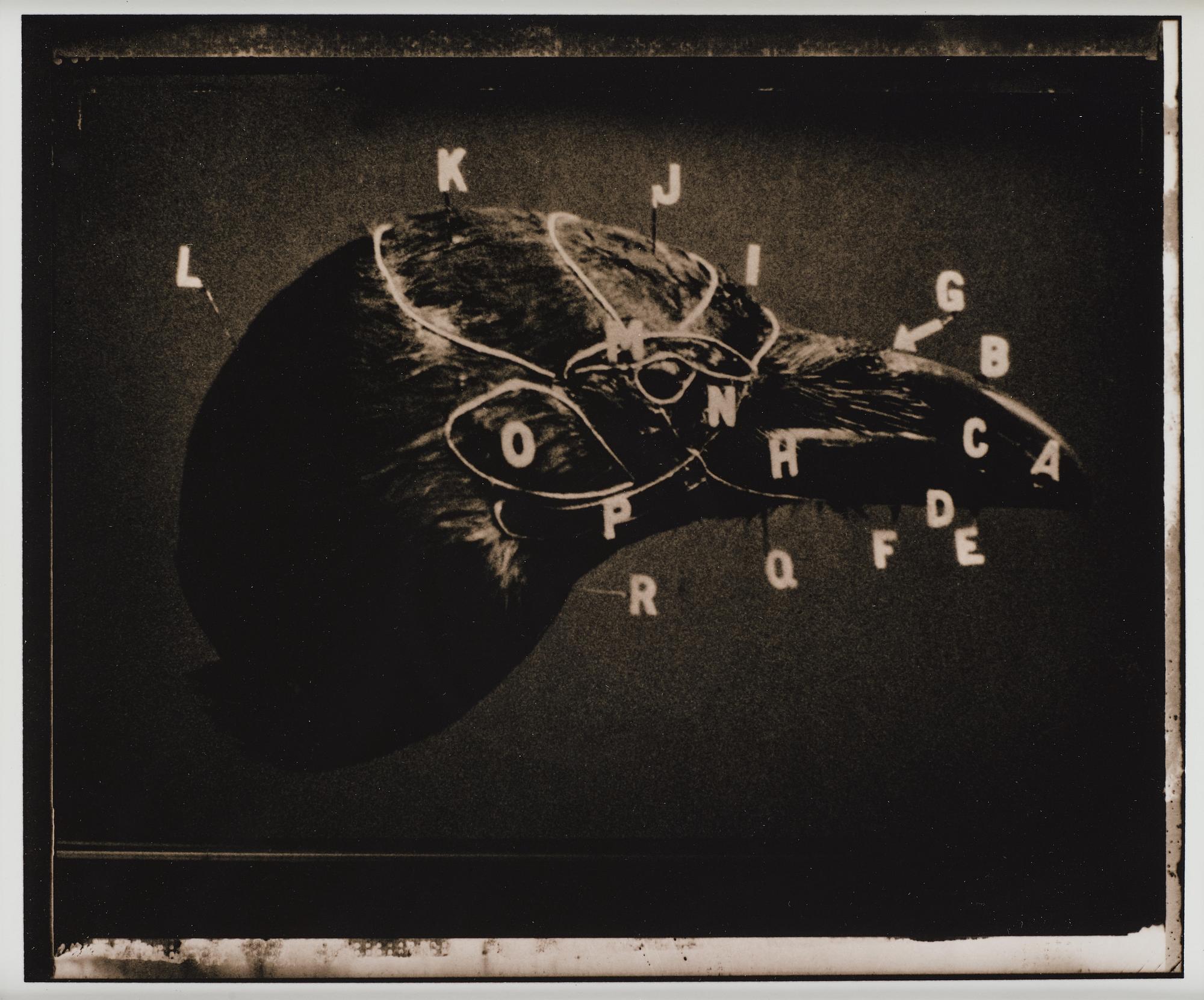 Linda Raskin, photograph signed and stamped on verso.