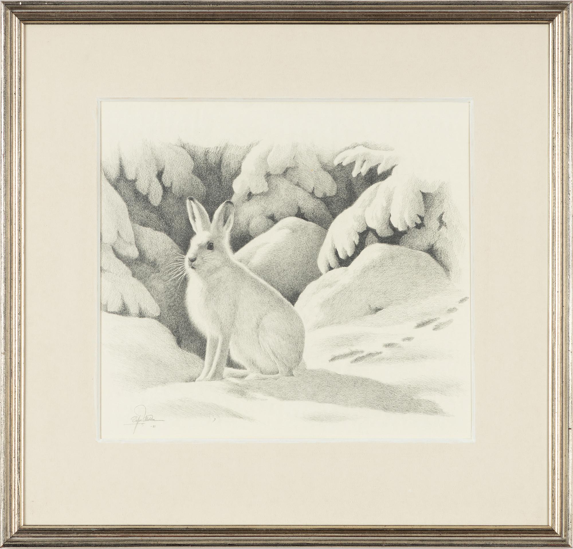 Staffan Ullström, Vinterhare.