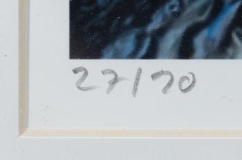 Karin Broos, "Tjärn 3".