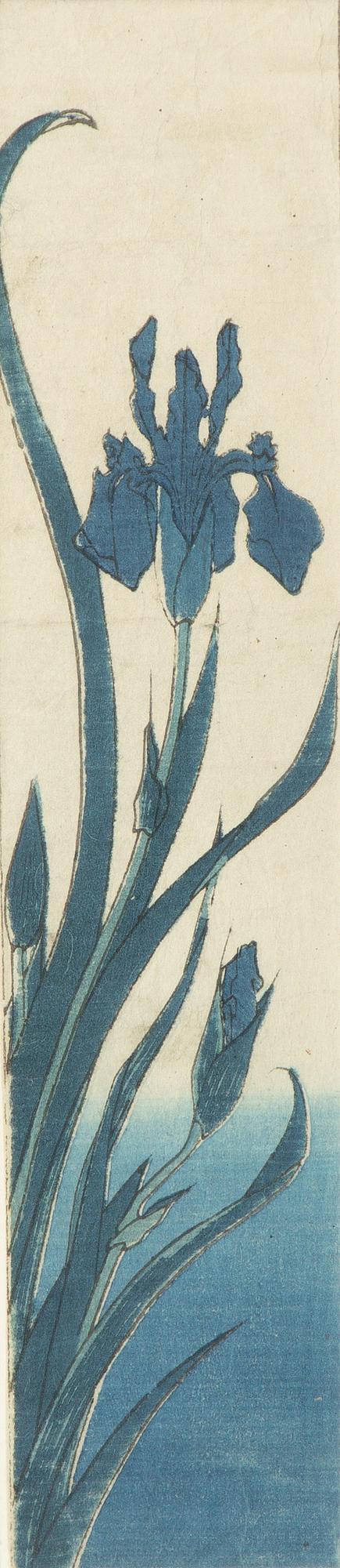 Ando Utagawa Hiroshige, 'Iris'.