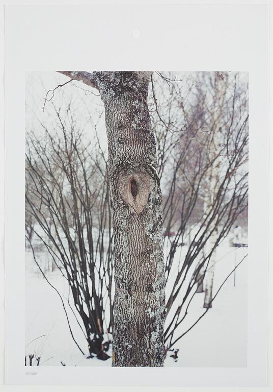 ANDREAS ERIKSSON, portfolio. Signed AE inside the box and numbered 18/250.