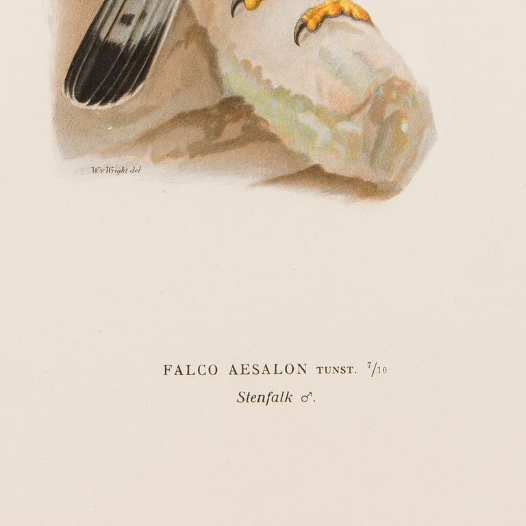 LITHOGRAPHS, 5 pcs, after Wilhelm von Wright and Bror Hallberg. A. Börtzell, Stockholm.
