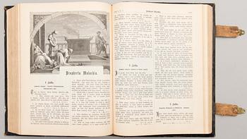 KIRJA/RAAMATTU, Kuva-Raamattu, Jyväskylä 1893.