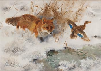 492. Bruno Liljefors, Winter landscape with fox and mallard.