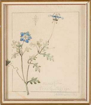 GERDA LYTTKENS, 10 st, akvareller, signerade.