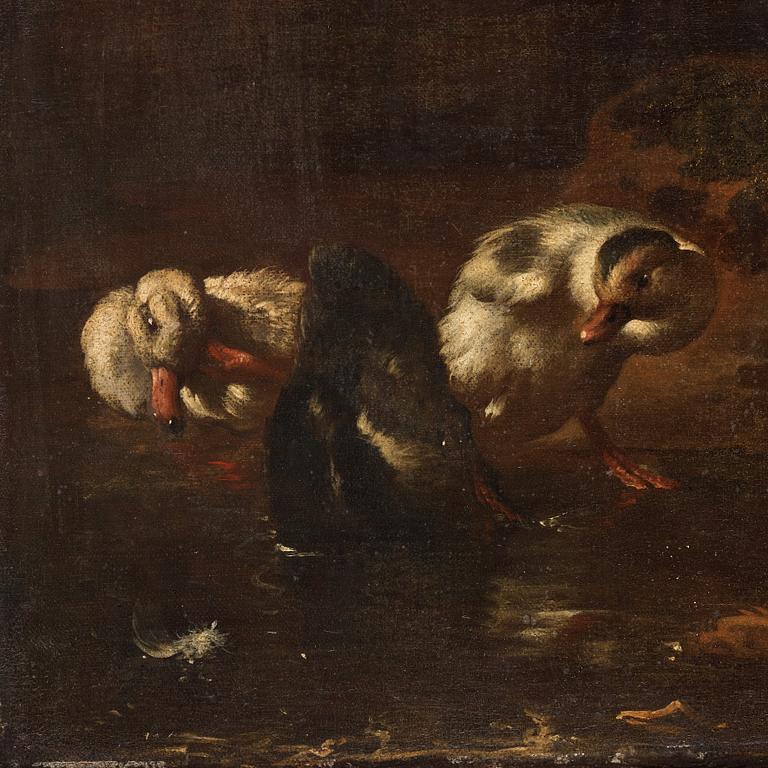 Melchior de Hondecoeter Attributed to, A duck family by the water.