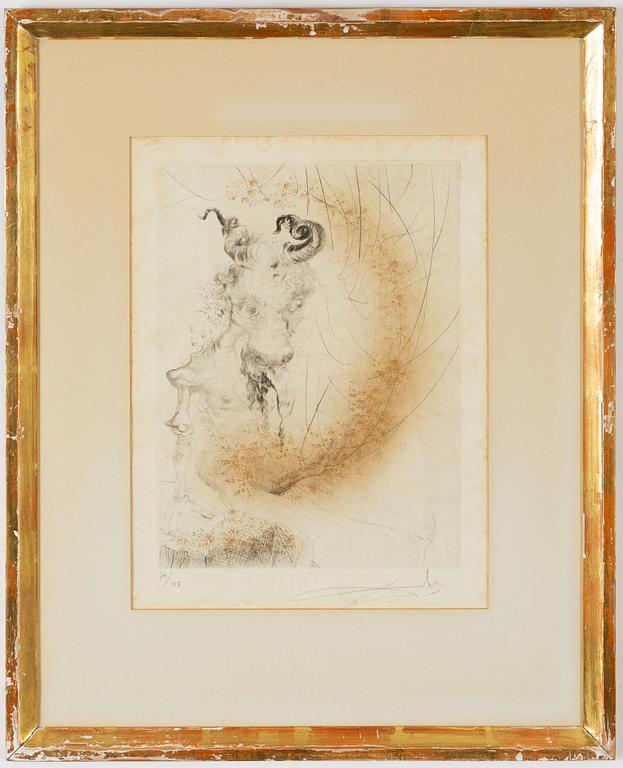 Salvador Dalí, etching with coloring, signed and numbured 70/145.