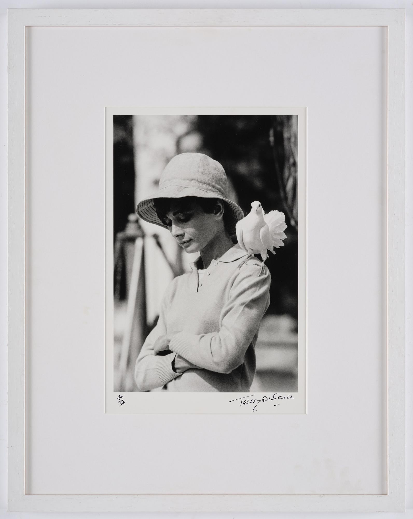 Terry O'Neill, "Audrey Hepburn with Dove, St Tropez", 1967.