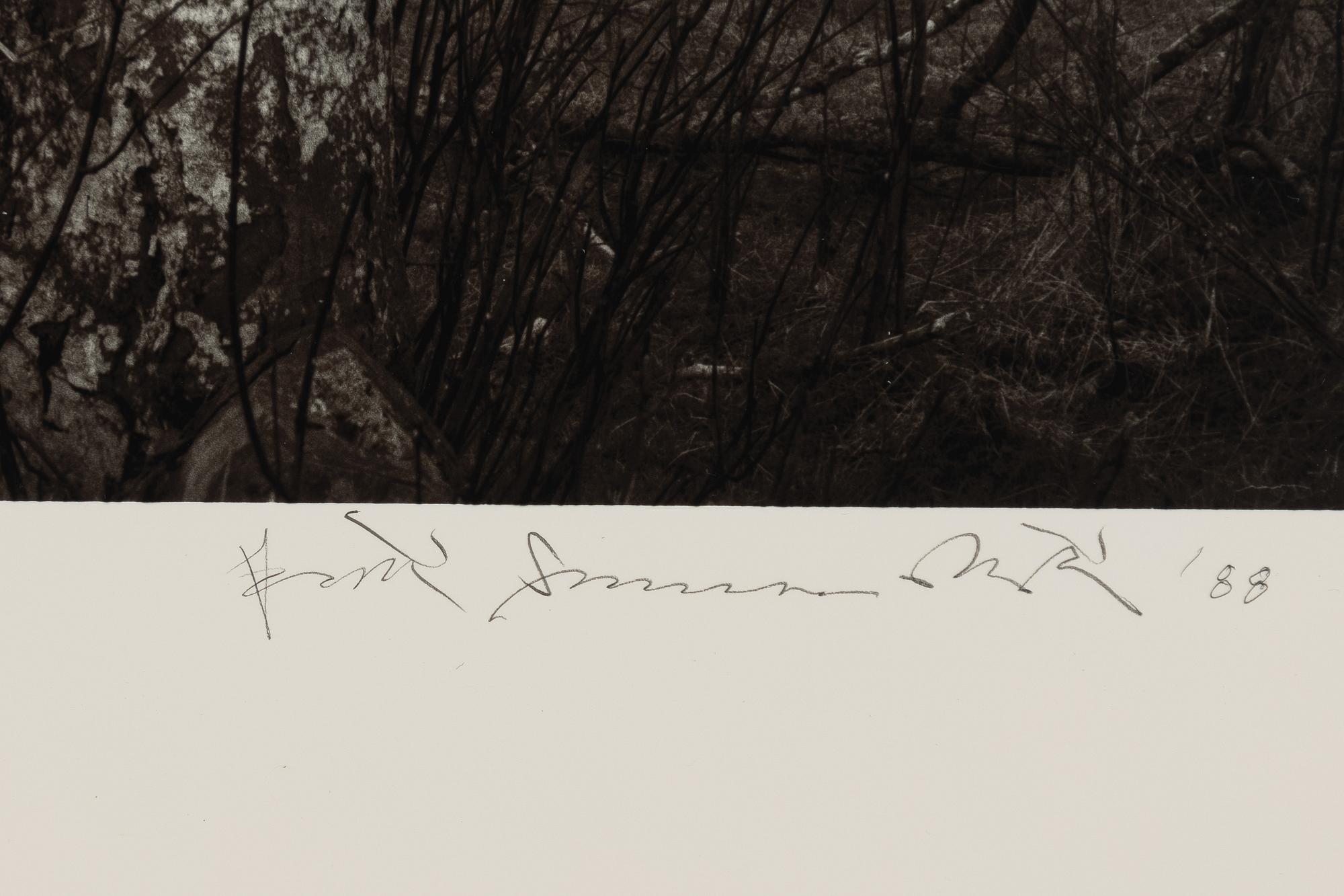 Pentti Sammallahti, "Lemland, Åland, 1988".