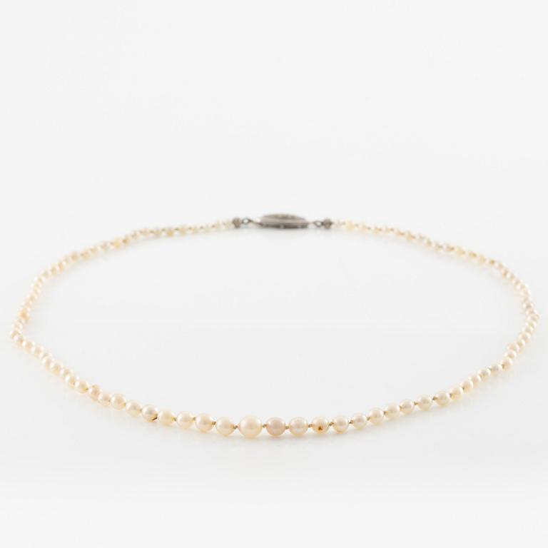 Pearl necklace, graduated pearls, clasp silver with pyrite.