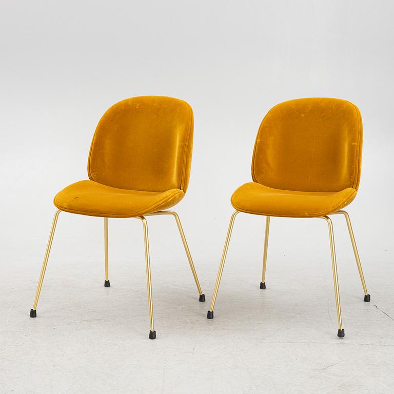 GamFratesi, chairs, 6 pcs, "Beetle", Gubi.