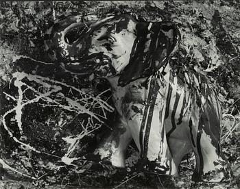 Dawid, photograph signed and dated verso, signed.