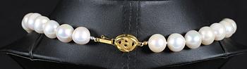 PÄRLCOLLIER, odlade pärlor, Thailand, 2000-tal.