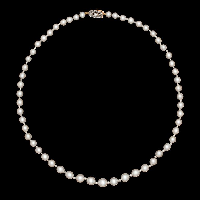 COLLIER, 55 doserade odlade pärlor, 9,2-5,8 mm, med små orientaliska pärlor emellan. 1930-tal.