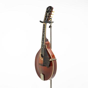 Gibson, mandolin, "A4", USA, 1918.