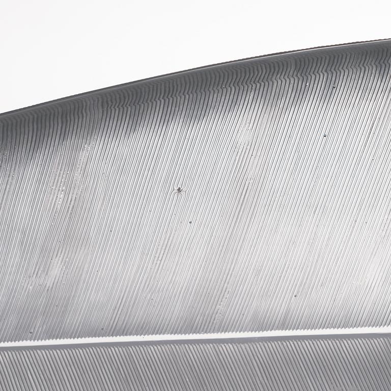 TAPIO WIRKKALA, Taide-esine 3869, signeerattu Tapio Wirkkala, Iittala -56.