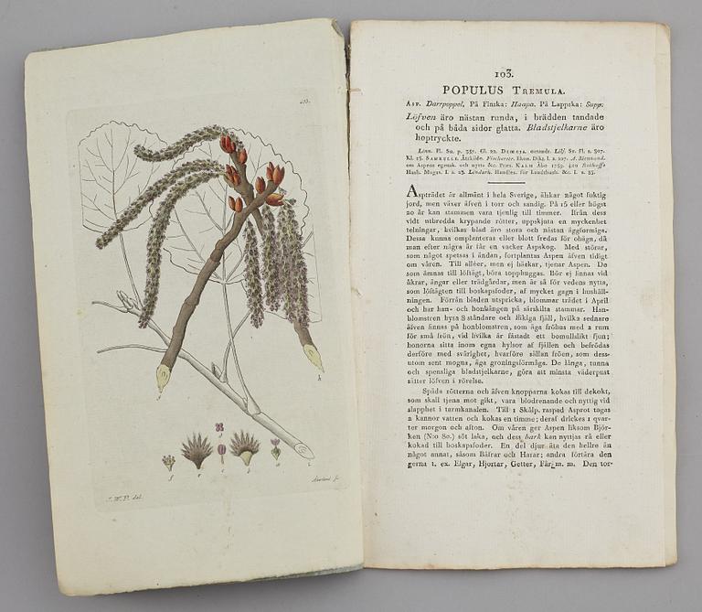 JOHAN WILHELM PALMSTRUCH, "Svensk Botanik, vol I-V. 1803-1805.