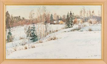 Aares Salli, Vinterlandskap.