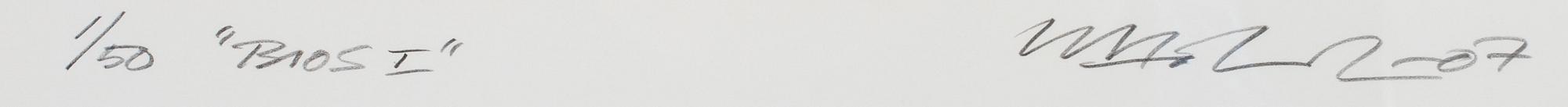 LARS HOLMSTRÖM, digitalgrafik, 2 st., signerad och daterad -07, numrerad 1/50.