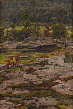 Victor Westerholm, From Knutsboda mountains.