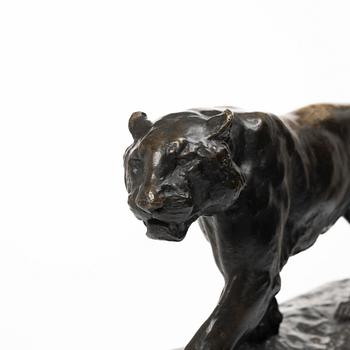 Johan Axel Wetterlund, Tiger.