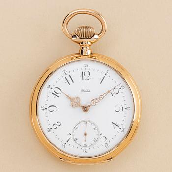 1089. Halda, ca 1895.