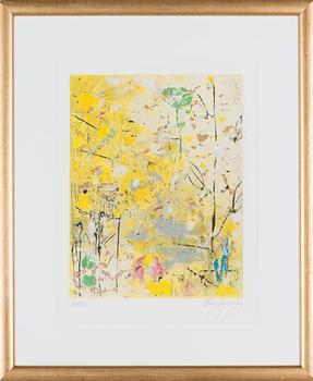 Canal Cheong-Jagerroos, Sommitelma.