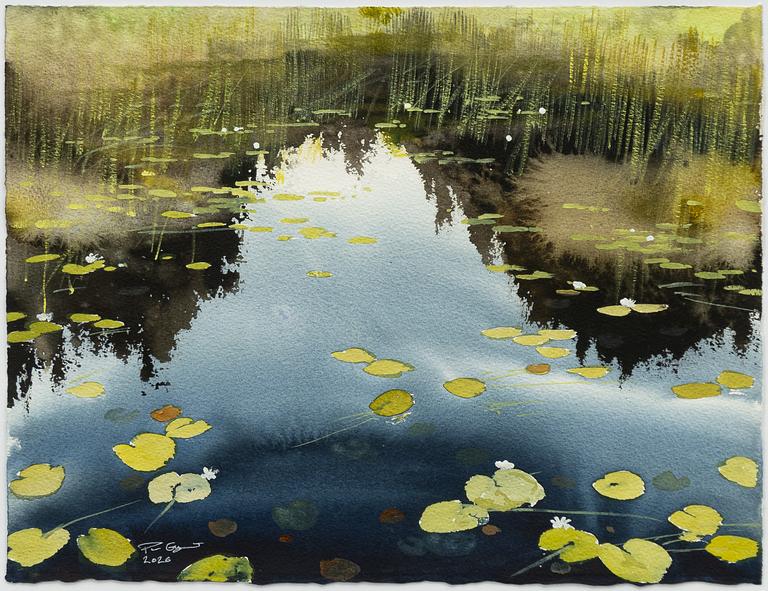 Peter Eugén, Lake with water lilies and greenery.