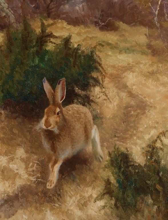 Bruno Liljefors, Hare in an autumn landscape.