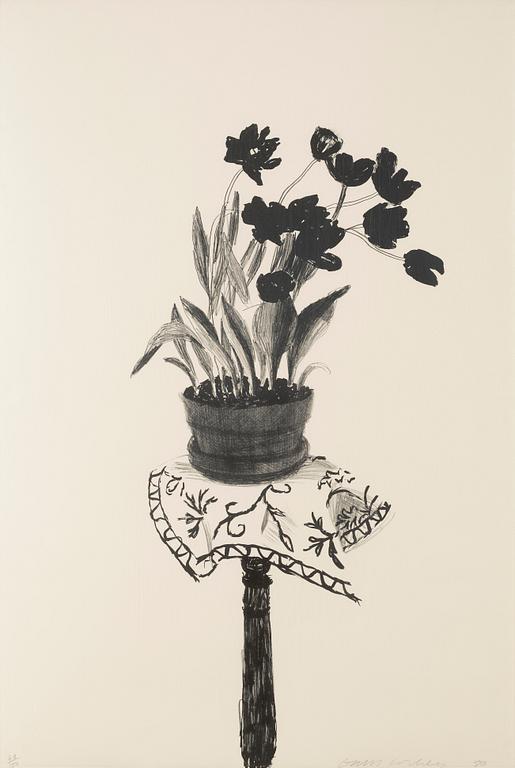 David Hockney, "Black tulips".