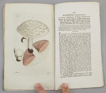 JOHAN WILHELM PALMSTRUCH, "Svensk Botanik, vol I-V. 1803-1805.