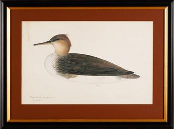 TRYCK, 3 st, 1900-/2000-tal.