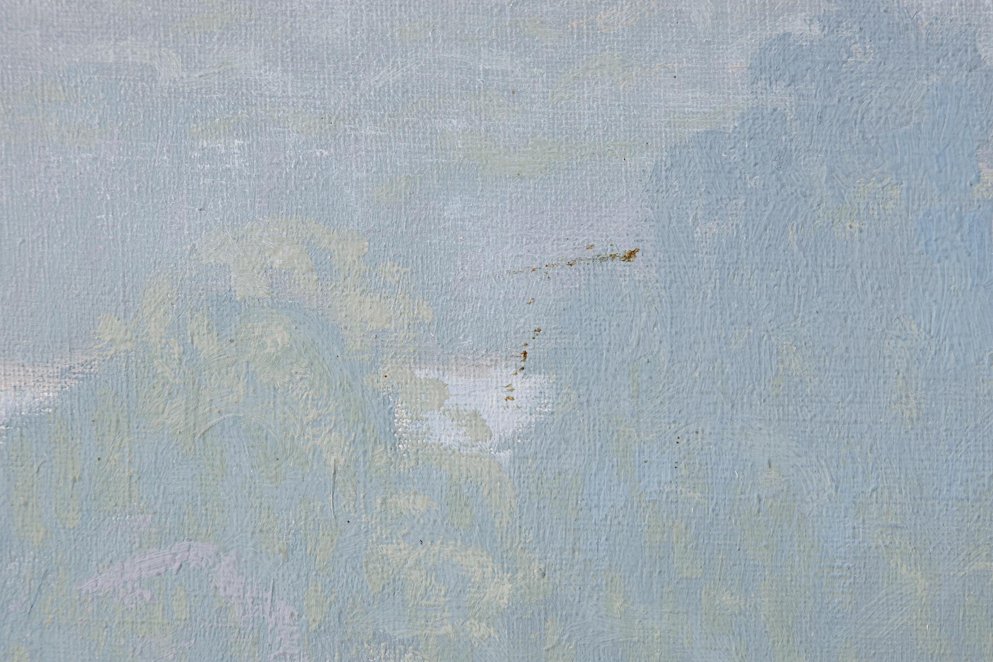 Olof Walfrid Nilsson, From Kebnekaise.