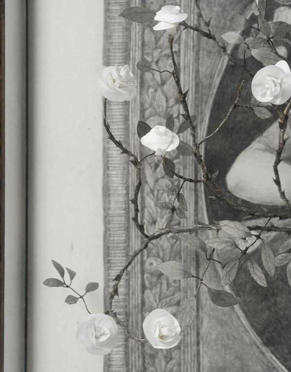 Vanna Bowles, "Cultivation".