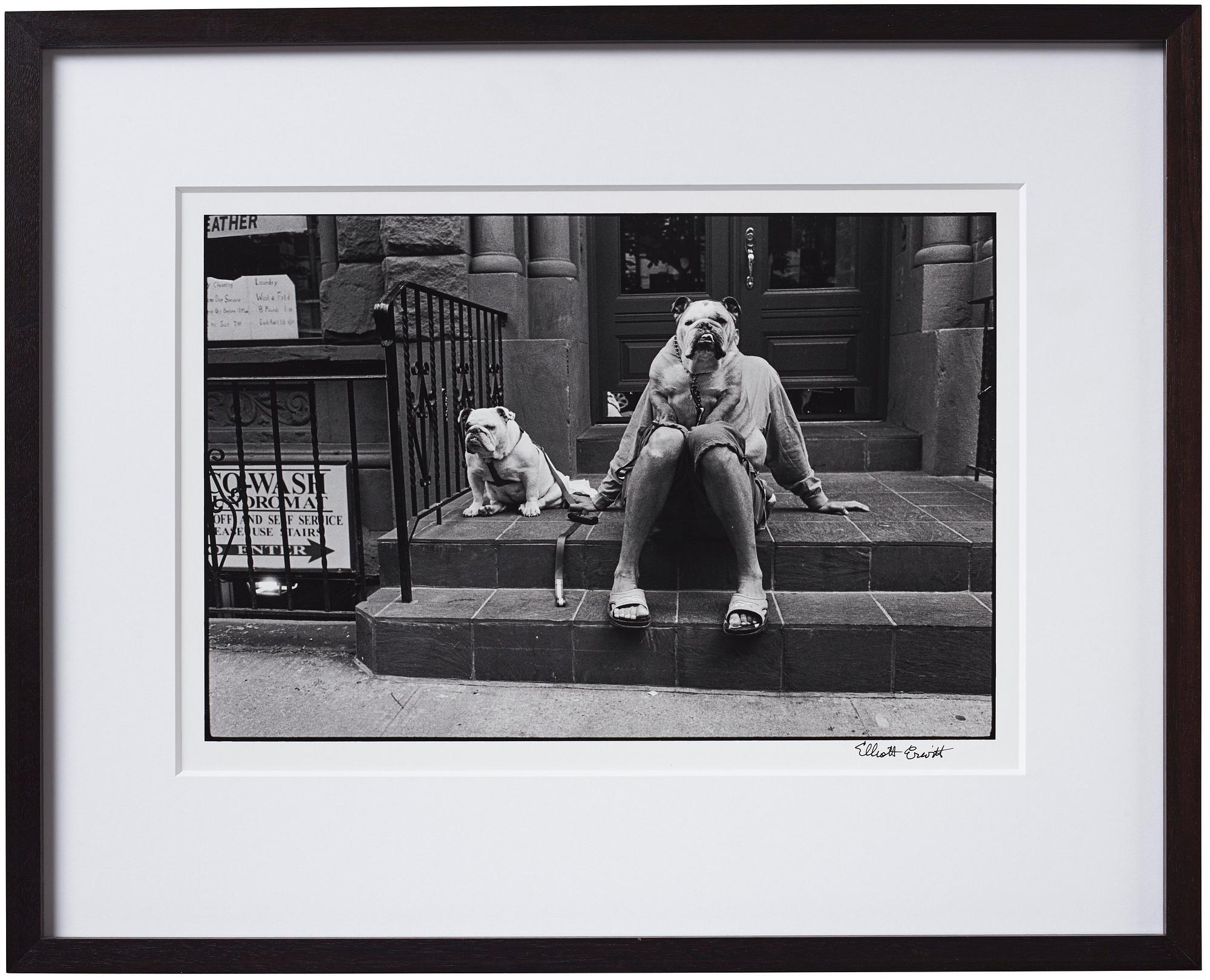 Elliott Erwitt, "New York City", 2000.