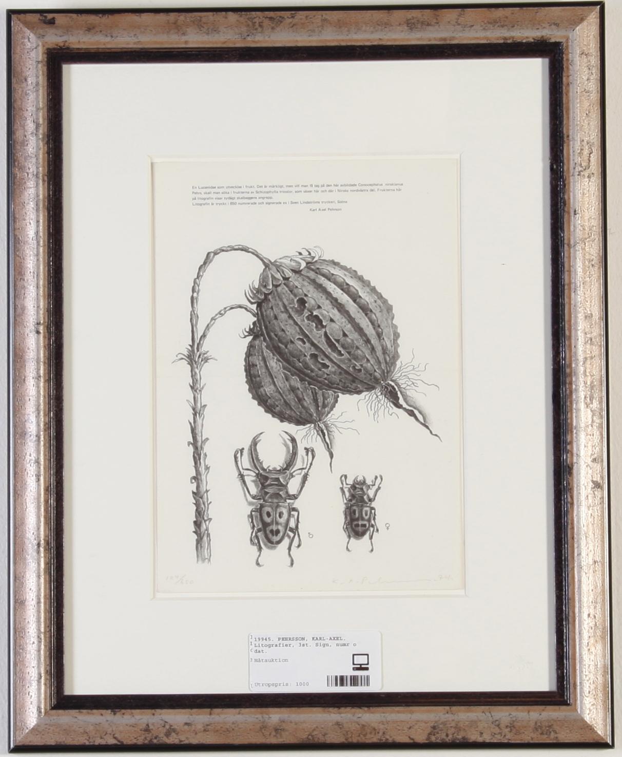 PEHRSON, KARL-AXEL. Litografier, 3st. Sign, numr o dat.