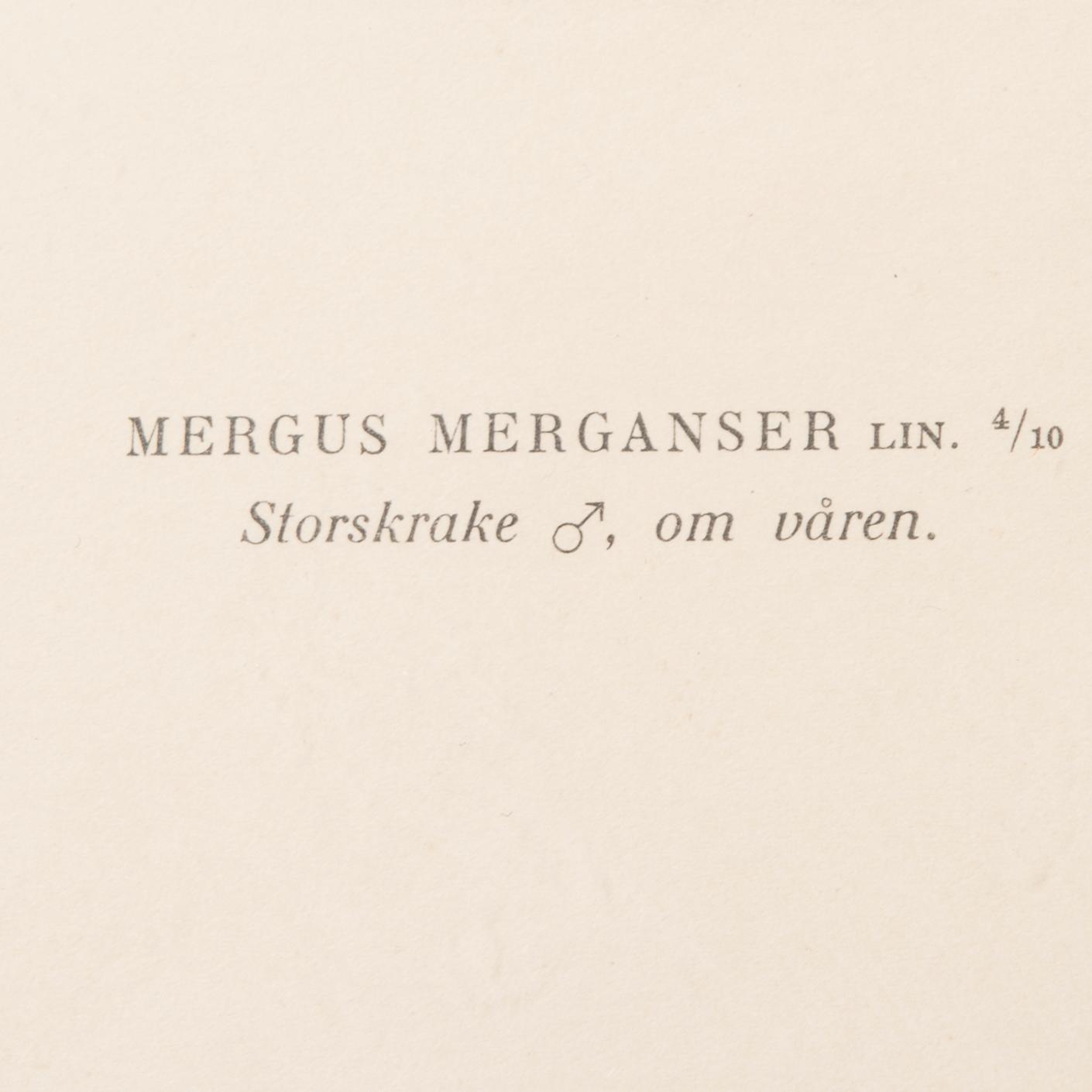 LITOGRAFIER, 4 st, efter von Wright, Magnus, Wilhelm & Ferdinand & Hallberg, Bror. A. Börtzell, Stockholm.