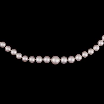 PÄRLCOLLIER, graderade sötvattenspärlor, lås i 14K guld.