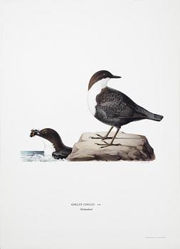 MAGNUS & WILHELM VON WRIGHT, 15 häften, Ivar Baarsen, Stockholm 1900-talets första hälft.
