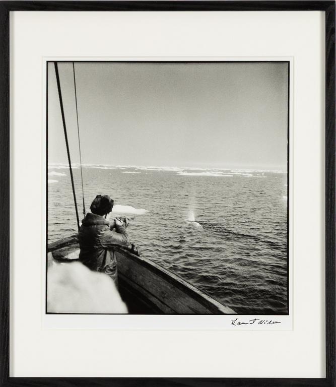 Lennart Nilsson,  "Isbjörnsjakt vid Hvitøya (Vitön), Svalbard, Norge 1947".