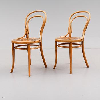 STOLAR, 2 st, Thonet, 1900-talets början.