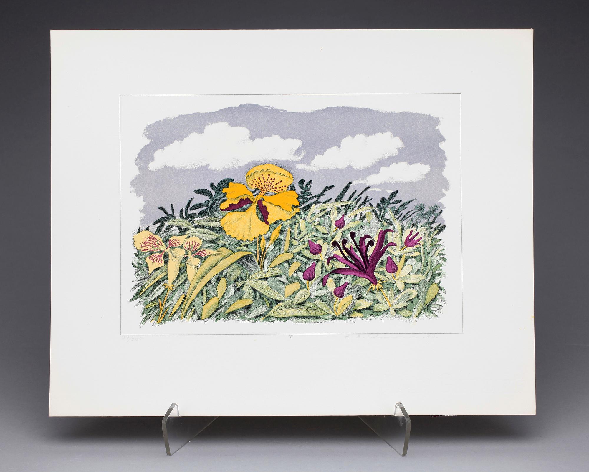 KARL AXEL PEHRSON, mapp med 10 färglitografier, "Vyer från Nirak", sign o numr 37/285. 1973.