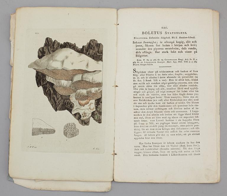 JOHAN WILHELM PALMSTRUCH, "Svensk Botanik, vol I-V. 1803-1805.