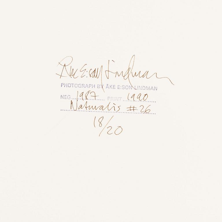 Åke E:son Lindman & Sven Westerlund, portfolio, 2 + 2 photos, signed 18/20.