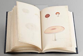 BOK, 2 band.  Olof Rudbeck dy. Iter Lapponicum René Coeckelberghs Bokförlag AB, Stockholm 1999.