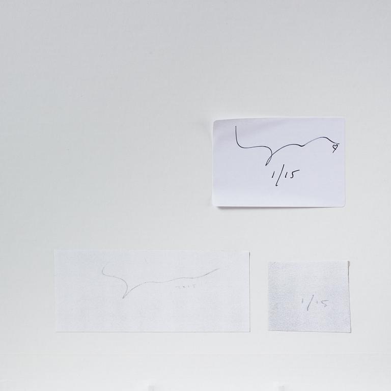 Johan Strindberg, "The Lost Secret of Theodore", 2015.