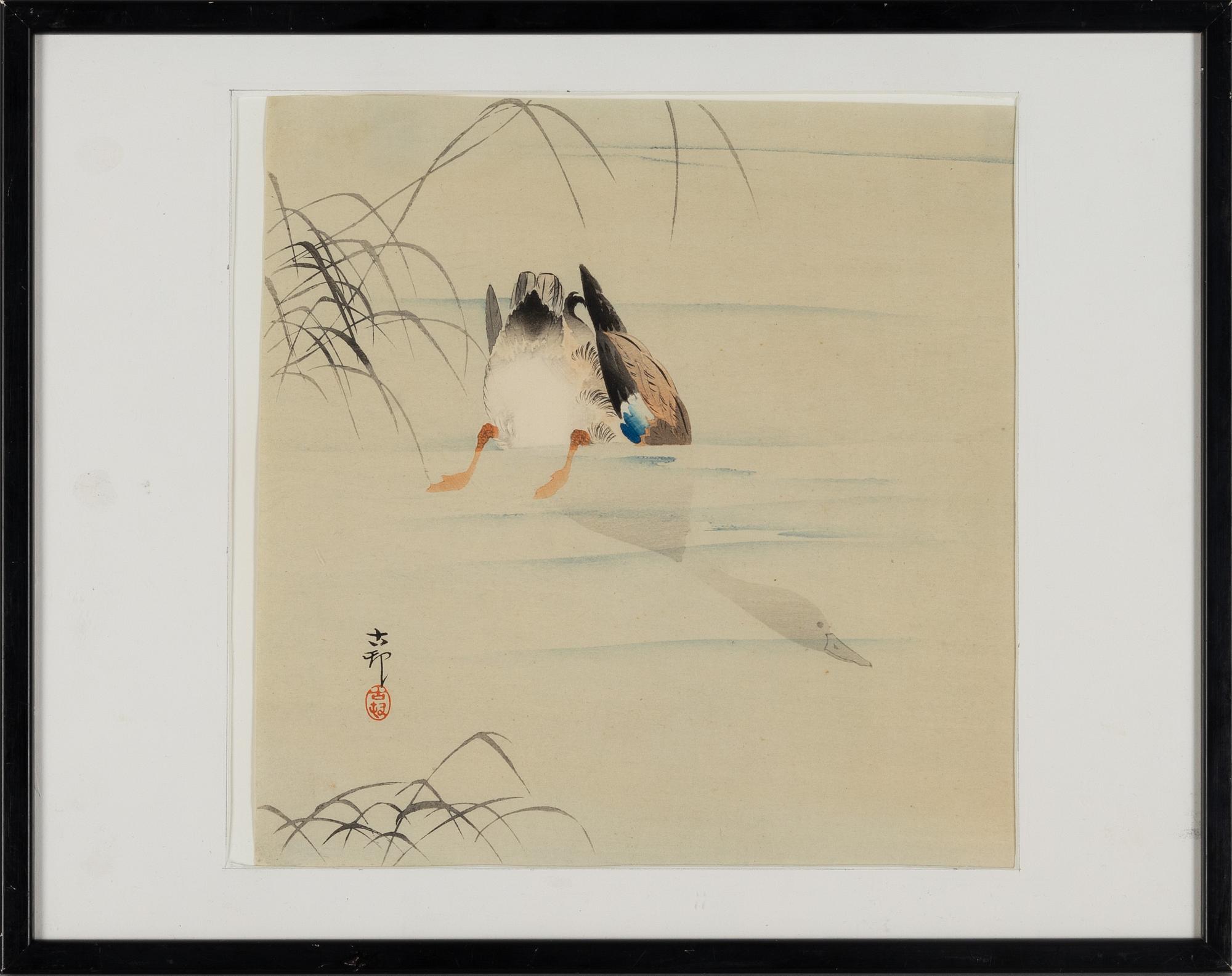 Ohara Koson, Diving mallard.